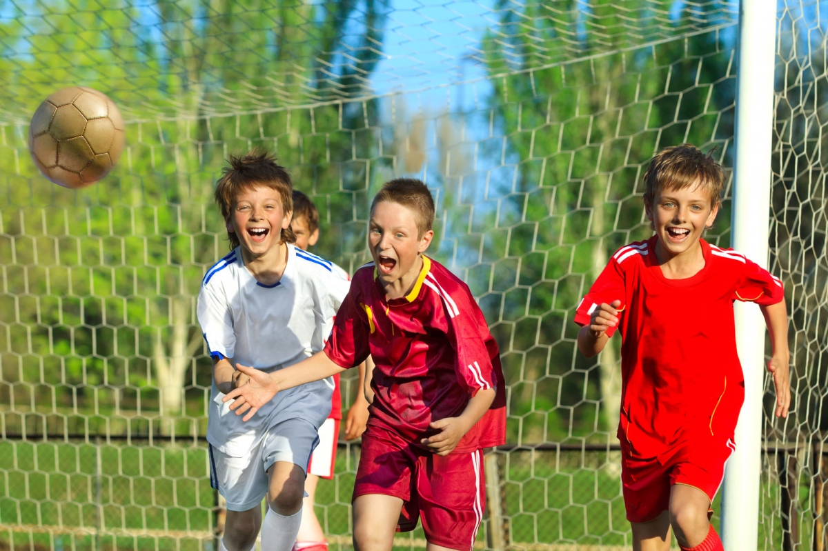 Sports camp guia do atleta